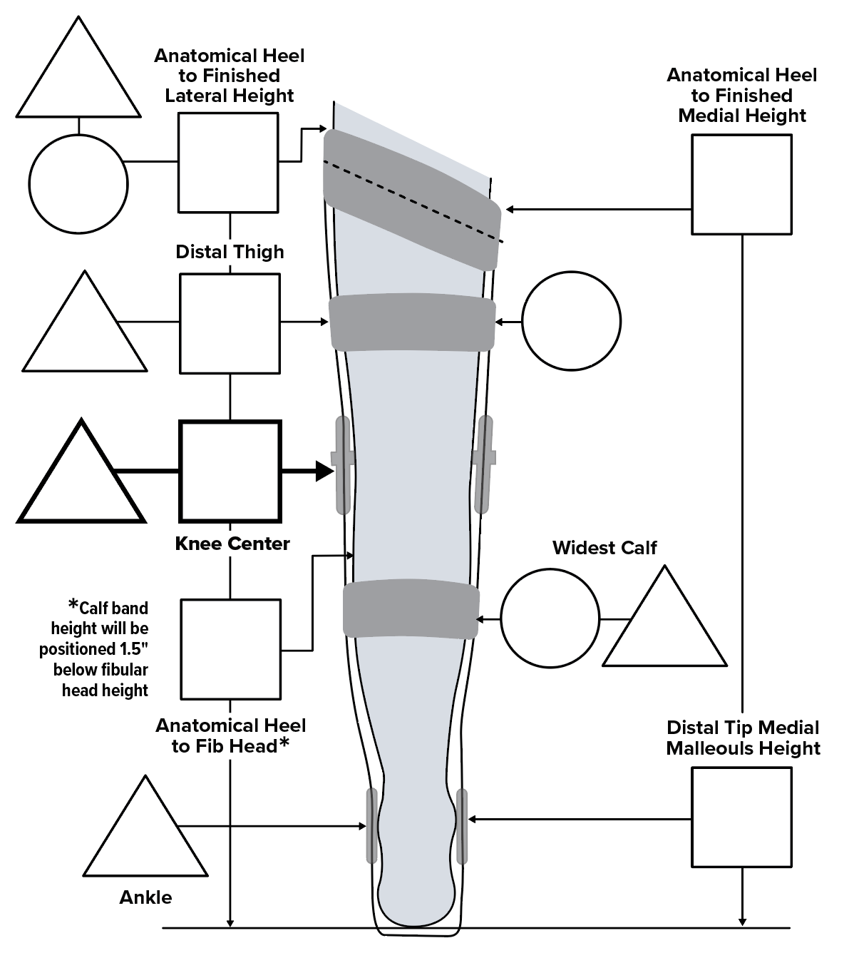 Patient Measurements